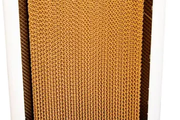 5090IMG_3743